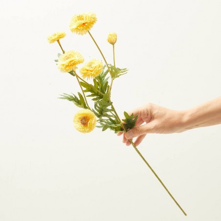 TAGETE AMARILLO 70CM TALLO