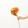 HORTENSIA NARANJA 67CM.