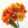 HORTENSIA NARANJA 67CM.