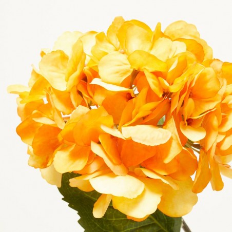 HORTENSIA MELOCOTÓN 67CM