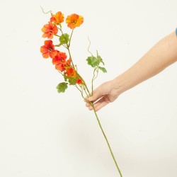 NASTURTIUM NARANJA 78CM TALLO