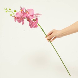 ORQUIDEA FUCSIA 84CM TALLO