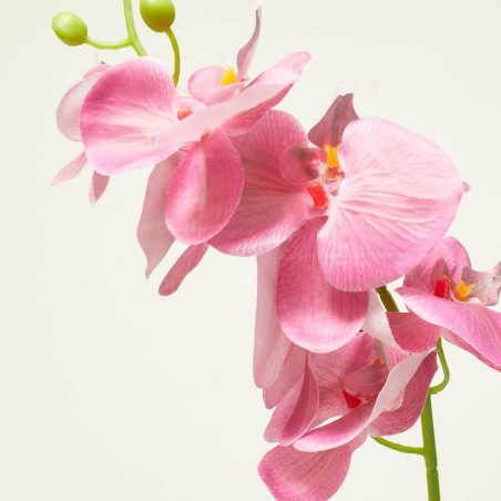 ORQUIDEA FUCSIA 84CM TALLO