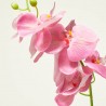 ORQUIDEA FUCSIA 84CM TALLO