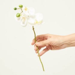 ORQUIDEA BLANCA 35CM VARA
