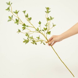 RAMAJE OLMO VERDE 109CM VARA