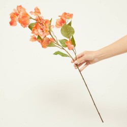 BUGANVILLA NARANJA 85CM TALLO