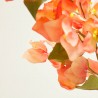 BUGANVILLA NARANJA 85CM TALLO