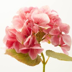 HORTENSIA BEAUTY 47CM FUCSIA ARTIFICIAL