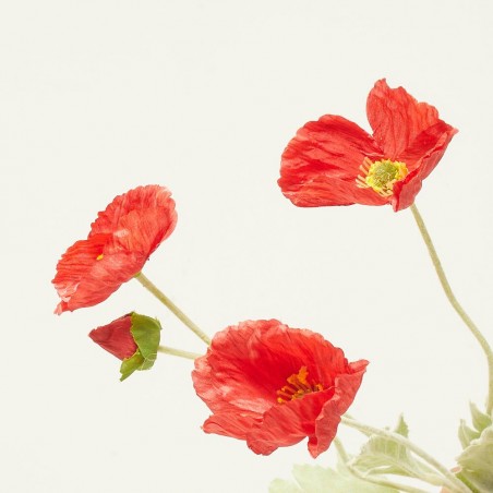 AMAPOLA ARTIFICIAL ROJA 63CM TALLO