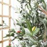 OLIVO ARTIFICIAL EXTERIOR 200CM