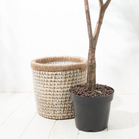 OLIVO ARTIFICIAL EXTERIOR 200CM