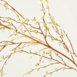 JAZMÍN BLANCO 142CM TALLO