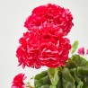 GERANIO ARTIFICIAL MATA CEREZA 39CM