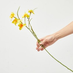 NARCISO AMARILLO 68CM TALLO