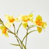 NARCISO AMARILLO 68CM TALLO