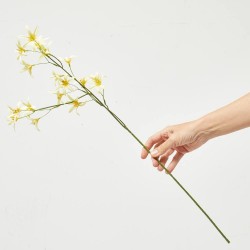 TWEEDIA AMARILLO 69CM TALLO