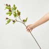 HIGUERA 90CM TALLO