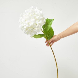 HORTENSIA XL BLANCA 90CM TALLO