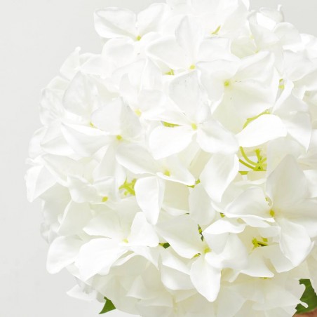 HORTENSIA XL BLANCA 90CM TALLO