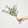 OLIVO RAMA 44CM VERDE UV & FR