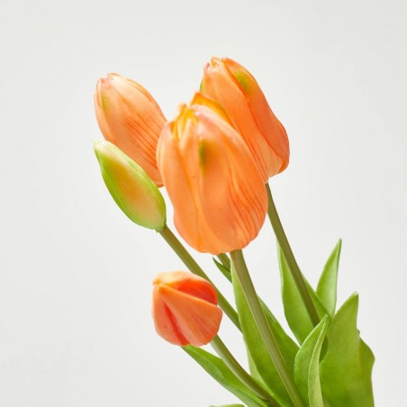 TULIPANES X5 SALMON 46CM MANOJO