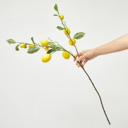 LIMONES EN VARA 104CM