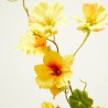 NASTURTIUM AMARILLO 78CM TALLO