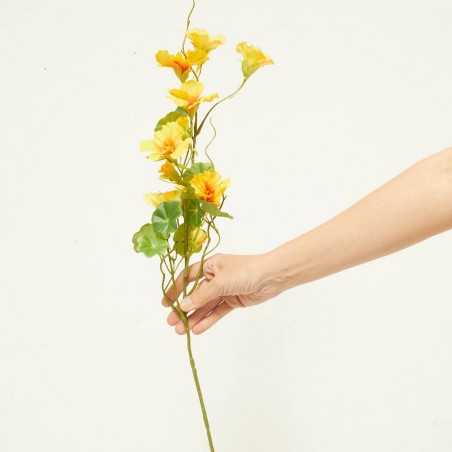 NASTURTIUM AMARILLO 78CM TALLO