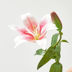 LILIUM ROSA 56CM TALLO