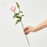 LILIUM ROSA 56CM TALLO