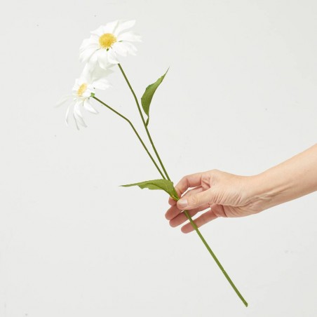 MARGARITA BLANCA 54CM TALLO