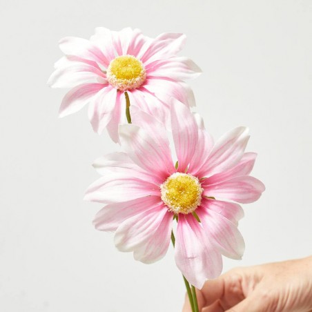 MARGARITA ROSA 54CM TALLO