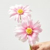 MARGARITA ROSA 54CM TALLO