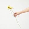 POPPY X 3 AMARILLO 61CM TALLO