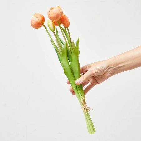 TULIPANES ROUND X5 SALMON 45CM