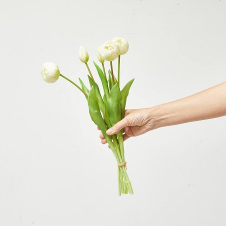 TULIPANES ROUND X5 CREMA 45CM