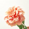 DAHLIA ARTIFICIAL MELOCOTÓN 57CM TALLO