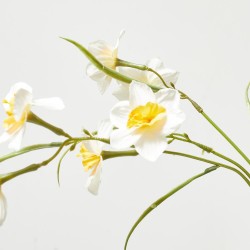 NARCISO AMARILLO BLANCO 68CM TALLO