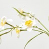 NARCISO AMARILLO BLANCO 68CM TALLO