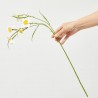 NARCISO AMARILLO BLANCO 68CM TALLO