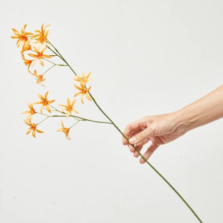 TWEEDIA NARANJA 69CM TALLO