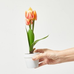 TULIPÁN ARTIFICIAL AMARILLO X 5 MACETA
