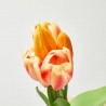 TULIPÁN ARTIFICIAL AMARILLO X 5 MACETA