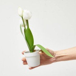 TULIPÁN ARTIFICIAL BLANCO X 5 MACETA
