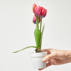 TULIPÁN ARTIFICIAL ROJO X 5 MACETA