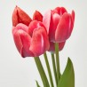 TULIPÁN ARTIFICIAL ROJO X 5 MACETA