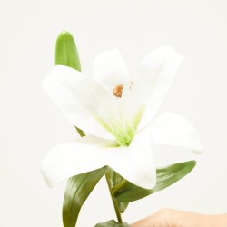LILIUM BLANCO 56CM TALLO
