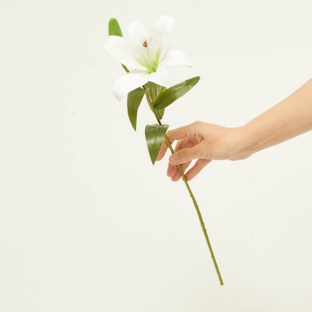 LILIUM BLANCO 56CM TALLO