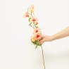 NASTURTIUM MELOCOTON 78CM TALLO